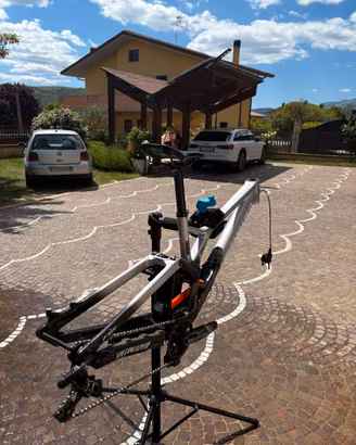 Mtb TELAIO DH Specialized Demo 8
