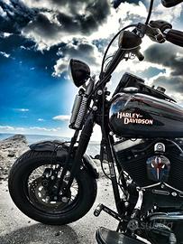 Harley Davidson Cross Bones ‘08, 1 sogno da vivere