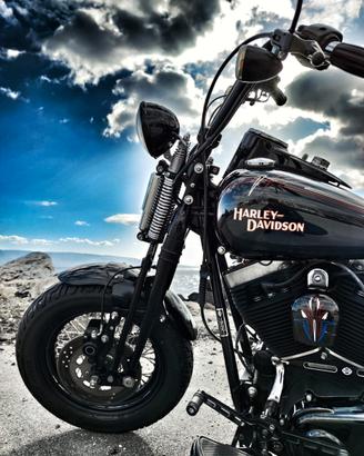 Harley Davidson Cross Bones ‘08, 1 sogno da vivere