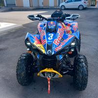 can am renegade xxc1000R