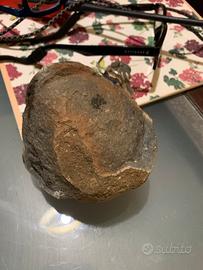 Pietra meteorite vulcanica giurassica