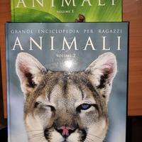 enciclopedia per ragazzi