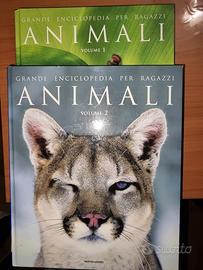 enciclopedia per ragazzi