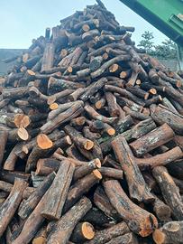 legna da ardere secca 