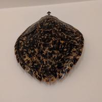 guscio tartaruga antica 