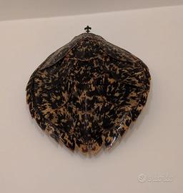guscio tartaruga antica 