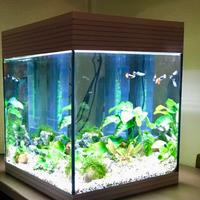 Acquario Askoll Pure M