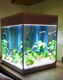 Acquario Askoll Pure M