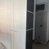Armadio/ Dispensa a 2 ante (2 pezzi disponibili)