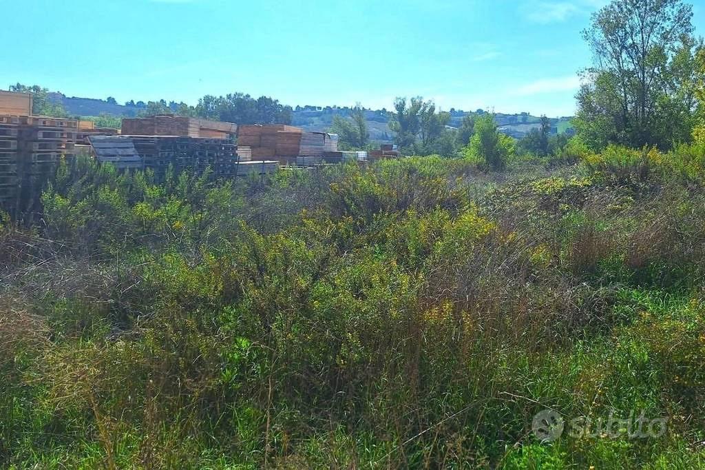Immobile in asta di 5280 m² a Recanati - Altro