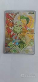 carte pokemon