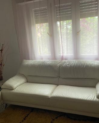Divani in pelle