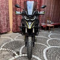 2024 - QJ Motor SRT 800 SX