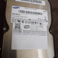 Hard disk interno 160gb 3,5 pollici sata