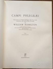 campi phlagraei hamilton osservazioni vulcaniche