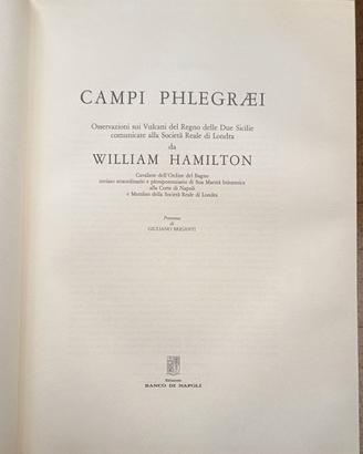 campi phlagraei hamilton osservazioni vulcaniche