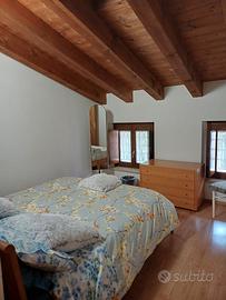 Splendida mansarda alle mura del castello 2