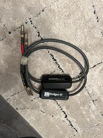 Cavo di segnale MIT SHOTGUN S1