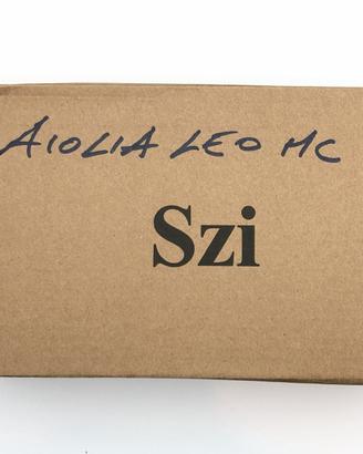 Myth cloth ex Aiolia di Leo Metal Club