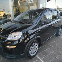 FIAT Panda 1.0 70CV ICON Hybrid