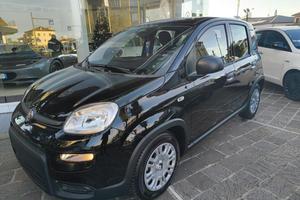 FIAT Panda 1.0 70CV ICON Hybrid