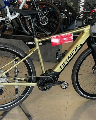 OLYMPIA EXPLORER GRAVEL OLI EDGE EBIKE