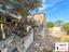 Immagine 15