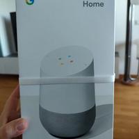 Assistente Google