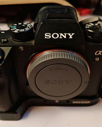 Sony Alpha 9 Full Frame pari al nuovo