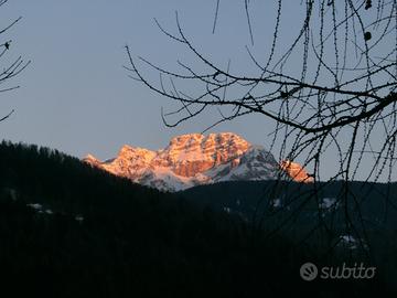 Settimane agosto settembreTrentino