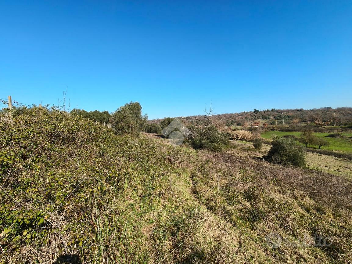 TER. AGRICOLO A SANT'ANGELO ROMANO - Vista 6