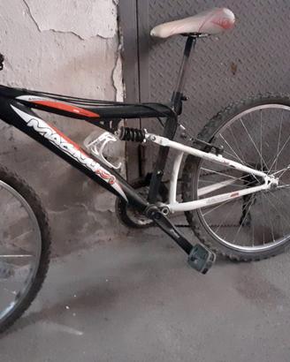 DONO BICICLETTE 