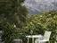 Immagine 11