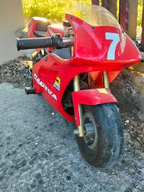 mini moto
