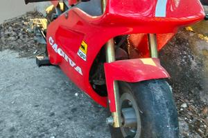 mini moto