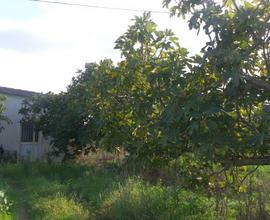 Terreno e fabbricato agricolo