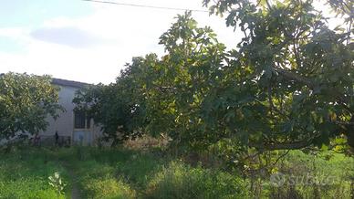 Terreno e fabbricato agricolo