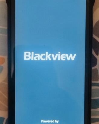 Smartphone Rugged Blackwiew BV7300