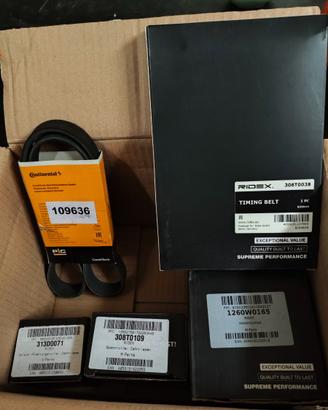 cinghia servizio piu cinghia distribuzione ridex