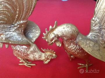 Galli in combattimento vintage