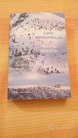 I PICCOLI MAESTRI    di LUIGI MENEGHELLO