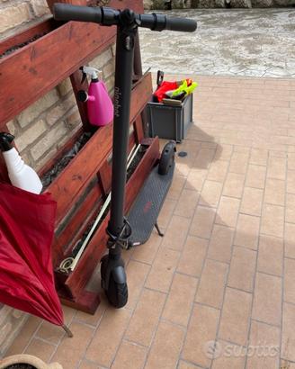 Monopattino Ninebot e25