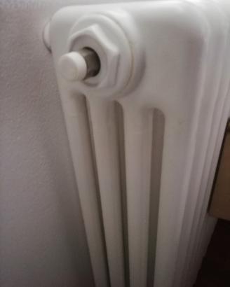 Termosifone Irsap Tesi 