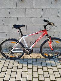 Mountain bike Trek 