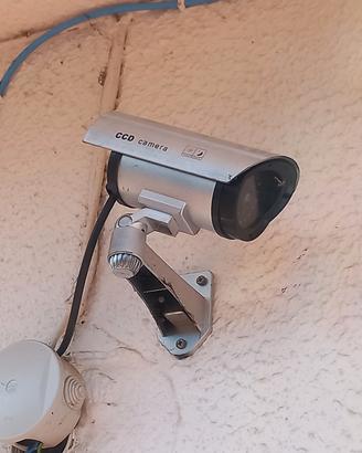 Telecamere finte