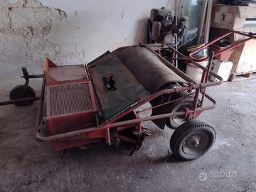 raccoglitrice e cernitrice per olive  a benzina