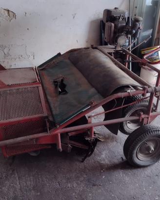 raccoglitrice e cernitrice per olive  a benzina