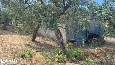 Terreno Residenziale Lanciano [v276VRG]