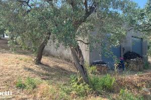 Terreno Residenziale Lanciano [v276VRG]