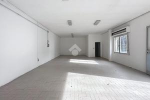 NEGOZIO A COLLESALVETTI